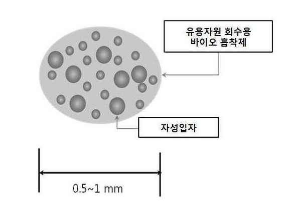바이오 자성흡착제를 이용한 해수 내 유용자원의 회수방법