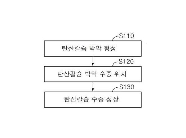 수중성장을 통한 탄산칼슘 박막 형성방법 및 이에 따라 제조된 탄산칼슘 박막