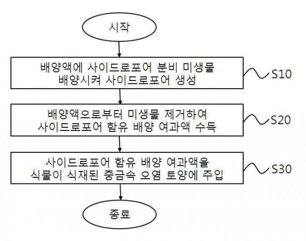 식물정화공법용 사이드로포어 함유 배양 여과액, 그 제조방법 및 이를 이용한 중금속 오염토양의 식물정화공법