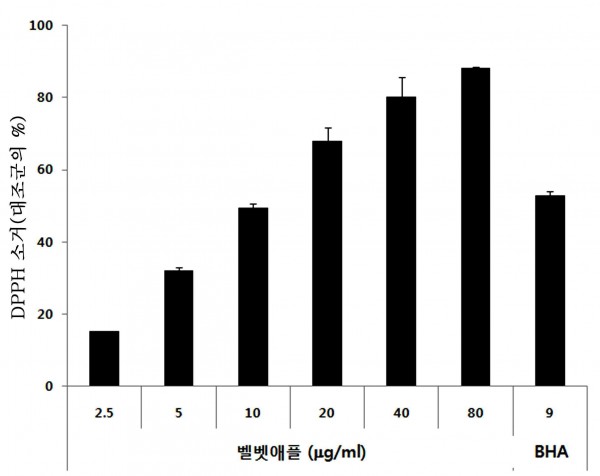 벨벳애플 추출물 또는 이의 분획물을 유효성분으로 함유하는 노화방지용 조성물