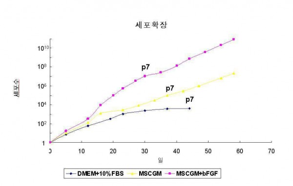 늑골 연골로부터 분리된 연골세포를 함유하는 인공 연골 및그의 제조 방법