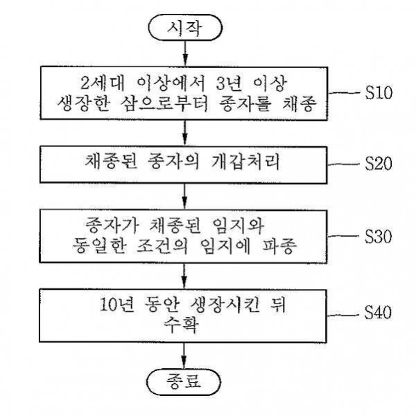 삼 재배 방법